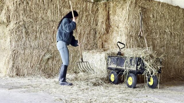 Equestrian working with hay in stable setting
