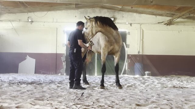 Man with horse in an indoor training arena