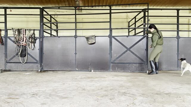 Horse stable with caretaker and dog interaction
