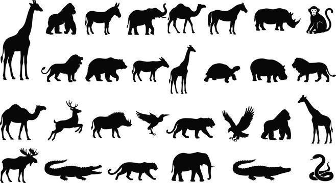 Set of black animal silhouettes featuring wild, zoo, and nature creatures for design