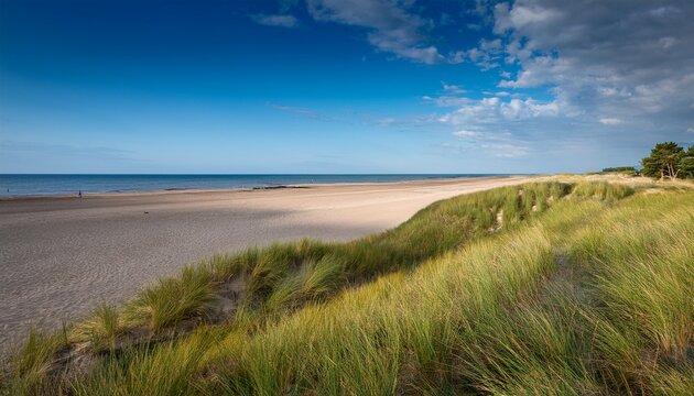 Reetdorf Geltinger Birk Bei Nieby Naturschutzgebiet An Der Ostsee