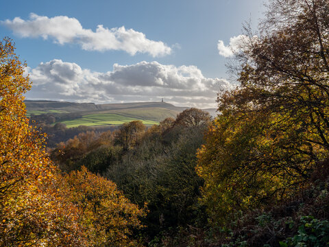 stoodley pike moor and monument viewed between autumn woodland trees illuminated by autumn sunlight