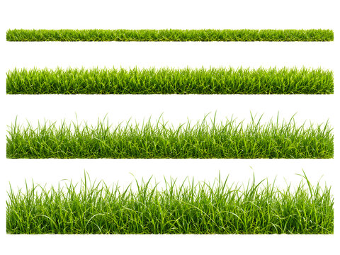 Green grass borders set, fresh lawn turf edges, vibrant meadow grass collection isolated on Transparent Background