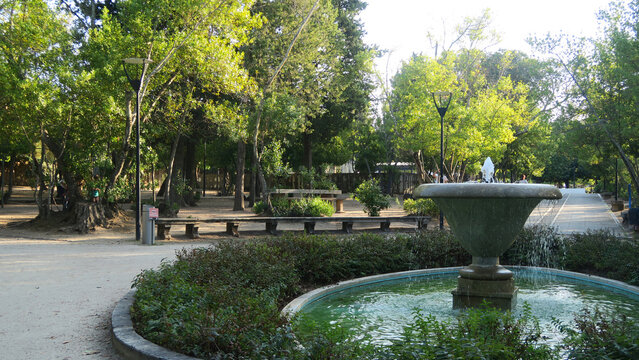 Castelo Branco, Portugal. The City Park (Portuguese: Parque Da Cidade) is located in front of the Jardim do Pa&ccedil;o Episcopal.