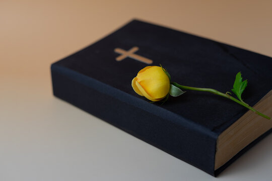 Yellow rose on Bible, Christian faith and spiritual inspiration concept