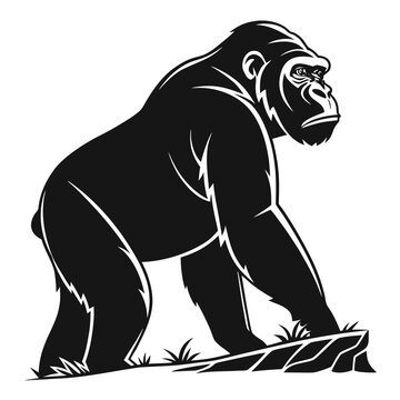 Black gorilla standing in grass