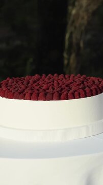 Vertical video. Wedding cake topped with fresh raspberries on a table during an outdoor wedding celebration.