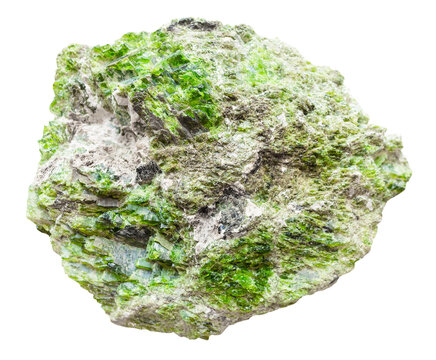 specimen of mineral from geological collection - unworked green chrome diopside rock isolated on white background from Inagli, Yakutia
