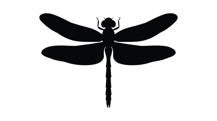 Dragonfly Silhouette Against A White Background Minimalist Black Shape © TanjilaAkter
