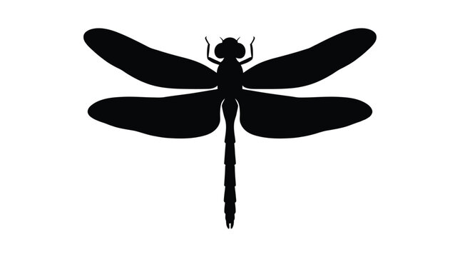 Dragonfly Silhouette Against A White Background Minimalist Black Shape