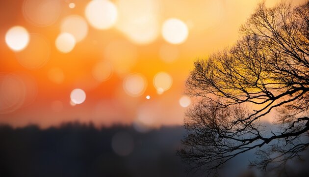 Black Branch Of Forest Changing Autumn To Winter In White Round Bokeh Orange Yellow Suset Sky Nature Background