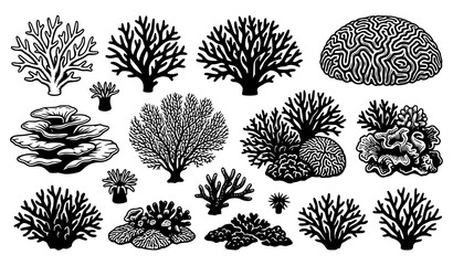 Hand Drawn Coral Reef Collection with Marine Coral Shapes Ocean Nature Vector Illustration Set © Shakib