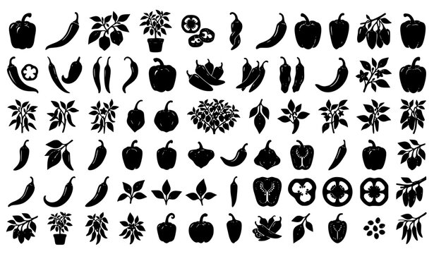 Vegetables Icon Collection Featuring Chili Pepper Pumpkin Corn and Fresh Garden Produce Silhouettes Set