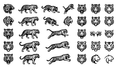 Tiger Head and Running Tiger Vintage Engraving Style Wildlife Illustration Collection Vector Isolated Set © Kolpona