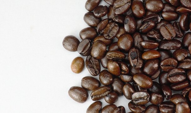Scattered roasted coffee beans on a clean white background with copy space