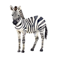 Obraz premium Zebra, playful watercolor vector depicting lively antics and expressive gestures, isolated on a white background.