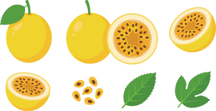 Fresh yellow passion fruit maracuja vector illustration set with whole fruits cut halves juicy pulp edible seeds and green leaves isolated on white background