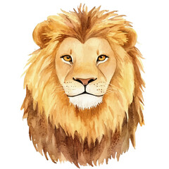 watercolor of Lion draw illustration, isolated on a white background. © zenvor