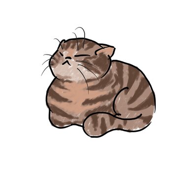 Chubby torbie cat with grumpy expression, digital drawing isolated on white