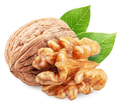 Whole walnut and peeled walnut half isolated on white background, maximum sharpness of stacking photography method, clipping path.