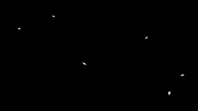 Multiple white mouse cursor icons scattered on a black background