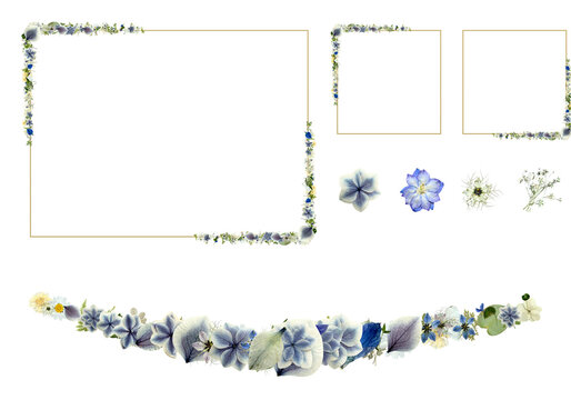 Pressed flower clipart set in blue with gold frames, flower corners, garland and single hydrangea, larkspur and nigella elements, botanical bundle for wedding invitation, isolated