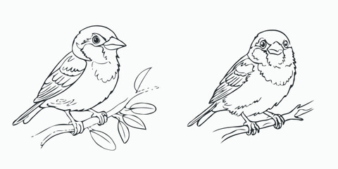 Obraz premium Two birds perched on tree branches in outline style