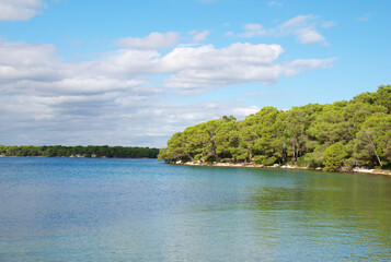 Fototapeta premium Beautiful Mediterranean coastline with clear blue sea, green pine forest, and peaceful natural landscape in Croatia. Calm Adriatic waters, rocky shoreline, and dramatic clouds create a coastline.