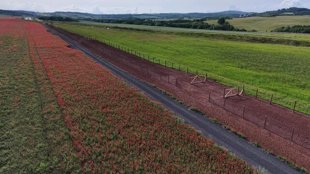Karlovy Vary Region, Czech Republic - A wooden gate in a red poppy field