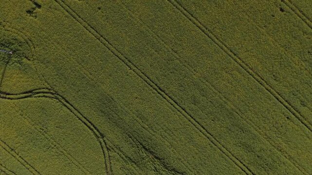 Karlovy Vary Region, Czech Republic - Green countryside and rolling fields