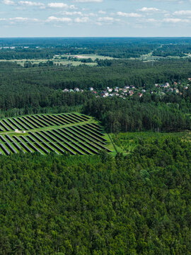 Aerial view of a solar farm nestled within a dense pine forest, featuring rows of photovoltaic panels surrounded by green trees in Acone, Salaspils Municipality, Latvia.