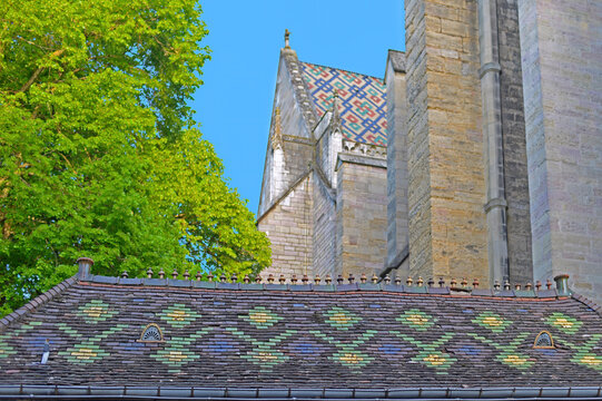 Selective focus on typical Burgundian colourful patterned roof with cathedral and tree in the back and blue sky in the centre of the archdiocese Dijon, France