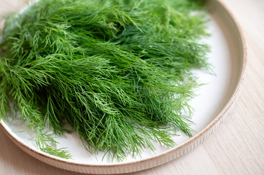 Large bunch of fresh young dill on a round beige plate. Concept of healthy eating, fresh herbs, organic food, home cooking and seasonal harvest.