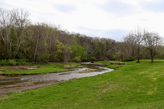 The flowing stream in the woods on a cloudy day.