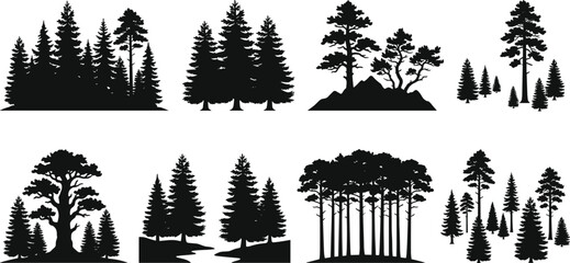Collection of coniferous tree cluster silhouettes with forest variations © Anonto
