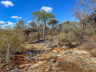 The Trail to Malazamanga Cave, Tsimanampetsotsa National Park, Madagascar © Guy Bryant