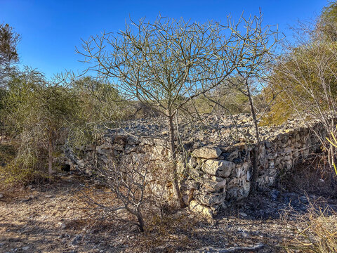 Mahafaly Stone Tomb near Malazamanga Cave, Tsimanampetsotsa National Park, Madagascar