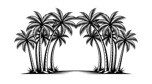 A detailed black and white illustration of a group of tropical palm trees.