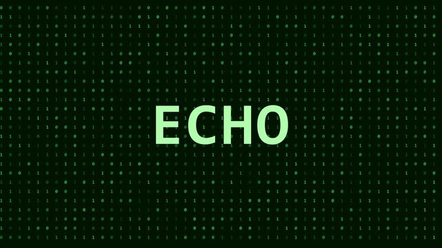Echo digital text on green binary code background, abstract technology concept animation 4k