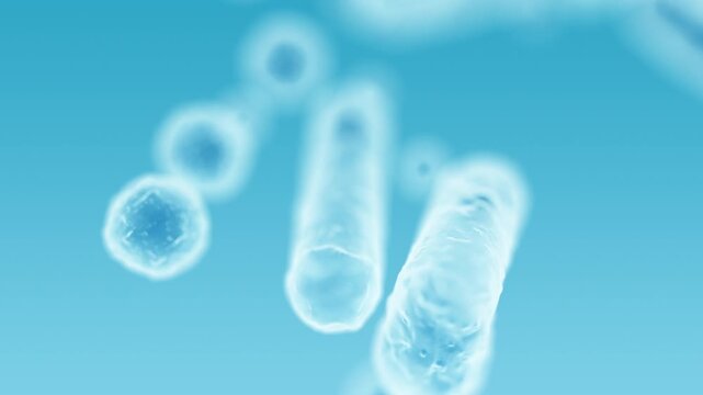 Enterobacteriaceae, gram-negative rod-shaped bacteria, part of intestinal microbiome and causative agents of different infections, 3D rendering. Escherichia coli, Klebsiella, Enterobacter and other	