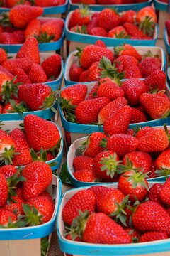 Green baskets of juicy sweet red strawberries at a French farmers market