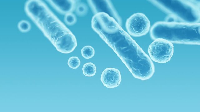 Enterobacteriaceae, gram-negative rod-shaped bacteria, part of intestinal microbiome and causative agents of different infections, 3D rendering. Escherichia coli, Klebsiella, Enterobacter and other	