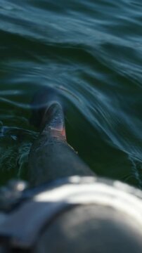 Wooden Oar In An Oarlock Guides A Boat Across A Serene Lake, Captured In A Point-Of-View Shot