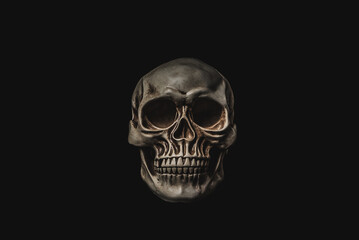 Fototapeta premium Human skull portrait isolated on dark background