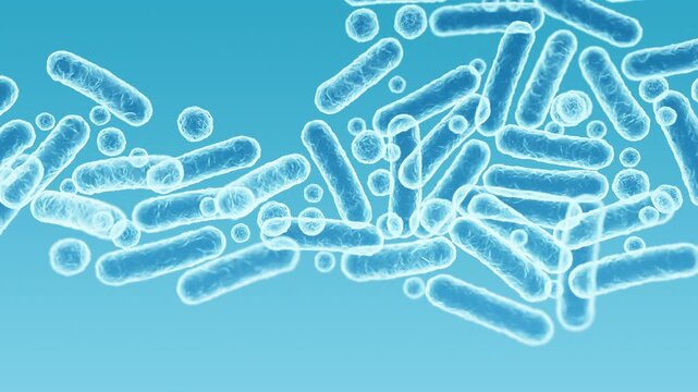 Enterobacteriaceae, gram-negative rod-shaped bacteria, part of intestinal microbiome and causative agents of different infections, 3D rendering. Escherichia coli, Klebsiella, Enterobacter and other	