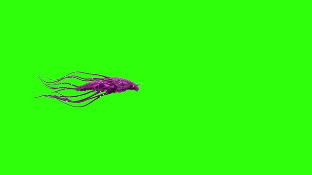 A 3D animated purple fantasy squid or alien sea creature swimming with moving tentacles against a chroma key green background. Ideal for sci-fi movies, deep sea monster videos, game graphics, and vide