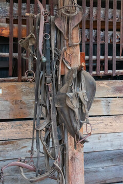 Bridles and yoke on a wooden pole