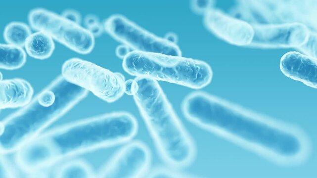 Enterobacteriaceae, gram-negative rod-shaped bacteria, part of intestinal microbiome and causative agents of different infections, 3D rendering. Escherichia coli, Klebsiella, Enterobacter and other	