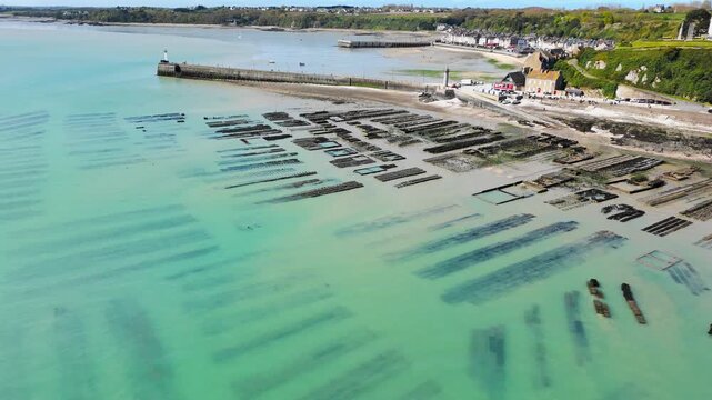Drone view over oyster farms in Cancale, France, coastal shellfish industry that defines this Brittany location