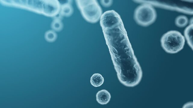 Enterobacteriaceae, gram-negative rod-shaped bacteria, part of intestinal microbiome and causative agents of different infections, 3D rendering. Escherichia coli, Klebsiella, Enterobacter and other	